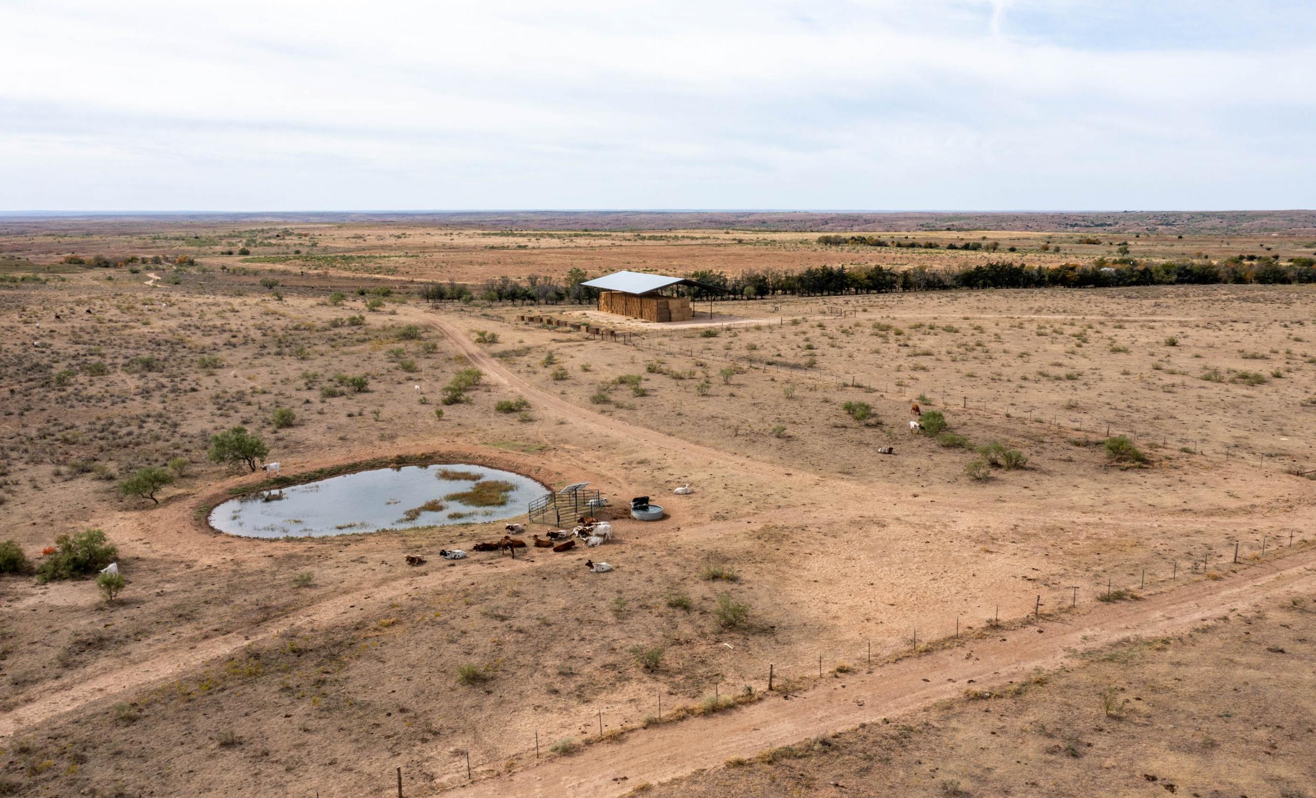 Diamond B Ranch Chas S. Middleton